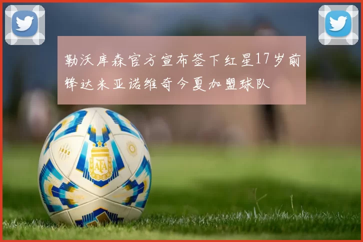 勒沃库森官方宣布签下红星17岁前锋达米亚诺维奇今夏加盟球队