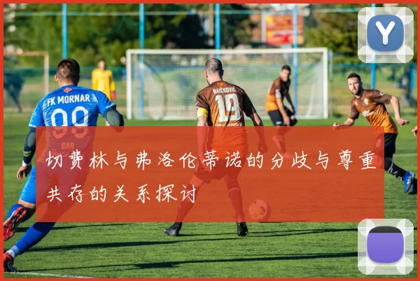 切费林与弗洛伦蒂诺的分歧与尊重共存的关系探讨